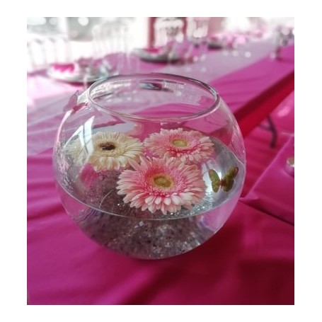 Location vase aquarium